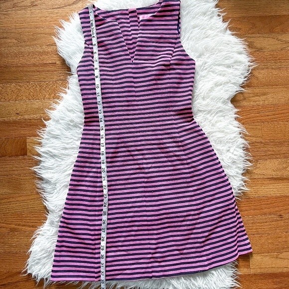 Lilly Pulitzer Brielle Fit and Flare Dress - Pink and Navy Stripe | Size XS - Picture 6 of 9